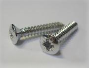 Chrome Plated Self Tapping Screws and Cup Washers